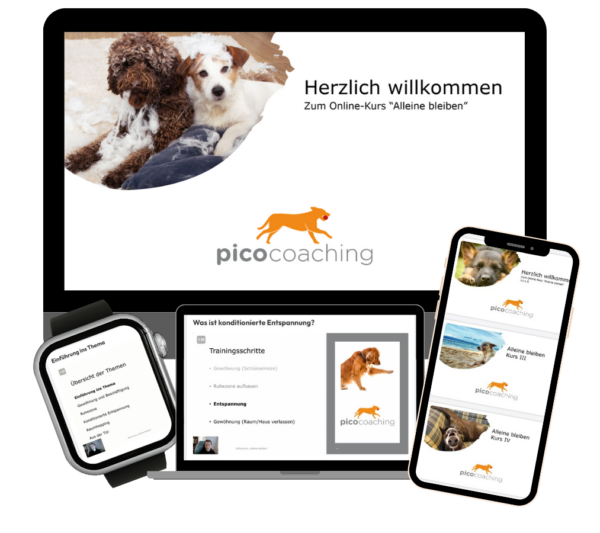 Onlinekurs Hunde allein lassen